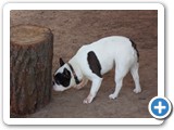 SAM_0068