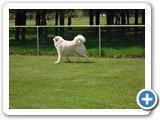 SAM_0152