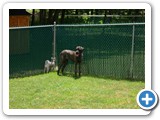 SAM_0509