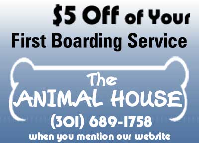 Dog Grooming Coupon